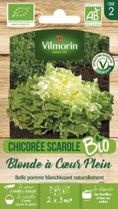 Chicorée Scarole Blonde à Cœur Plein - BIO